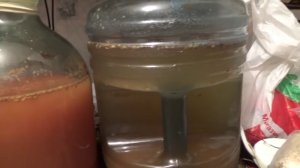 Как точно определить готовность бражки? Самый простой способ