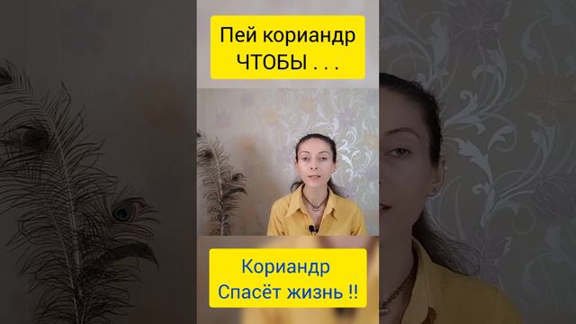 Кориандр | чем полезен кориандр | пищеварение смотреть онлайн