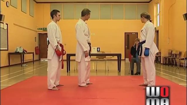 Sport Karate Rules & Scoring смотреть онлайн