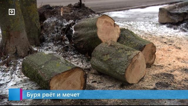 Буря рвёт и мечет смотреть онлайн