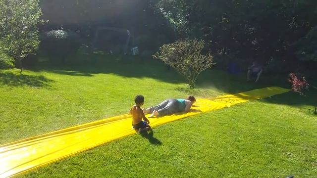 Смешные животные. Приколы с животными. Смешные коты. Смешные собаки. Лучшее 2022 смотреть онлайн