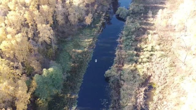 Рыбалка на запруде реки Городенка смотреть онлайн