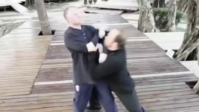 Yang Shao-Hou Taiji - Shifu Adam Mizner