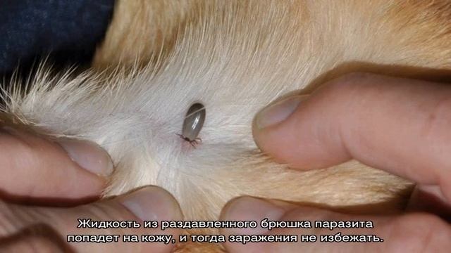 Эзотерические техники