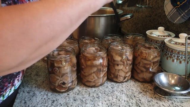 Секреты Творческой Мудрости