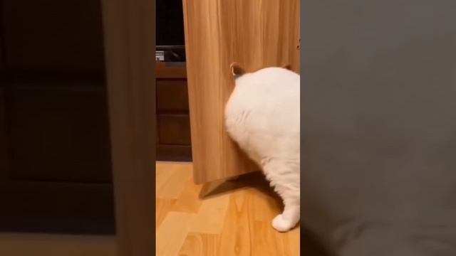 Кому то пора на диету смотреть онлайн