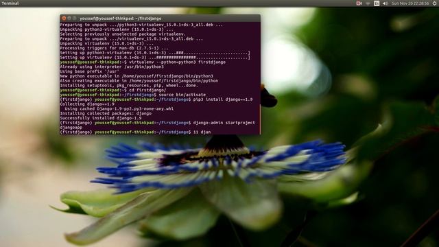 Creating First Project with Django under Ubuntu смотреть онлайн