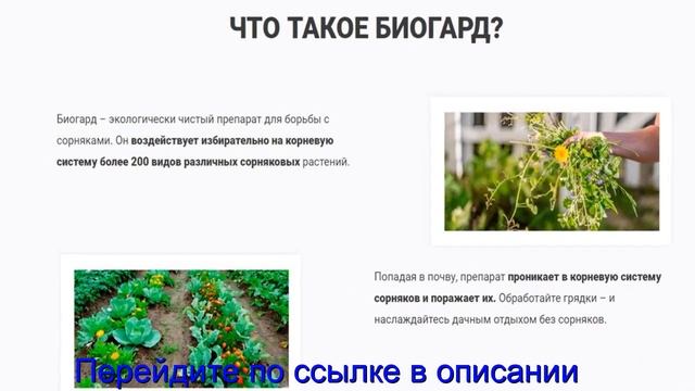 Биогард Отзывы Цена смотреть онлайн