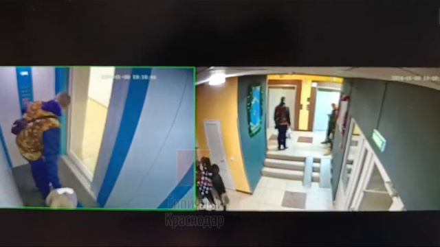 Собака накинулась на ребенка в лифте многоэтажки смотреть онлайн