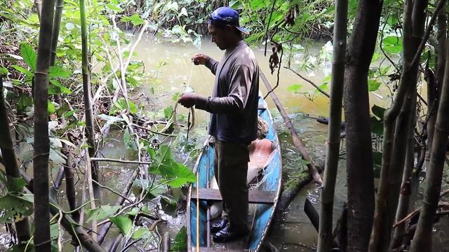 COMUNIDADE SÃO FRANCISCO DA MANGUEIRA - AMAZONAS - VÍDEO ( 6 ) смотреть онлайн