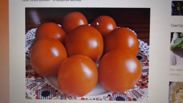 ТОМАТ БЕТТА - ЯВНЫЙ ПЕРЕСОРТ! Ольга Чернова. смотреть онлайн