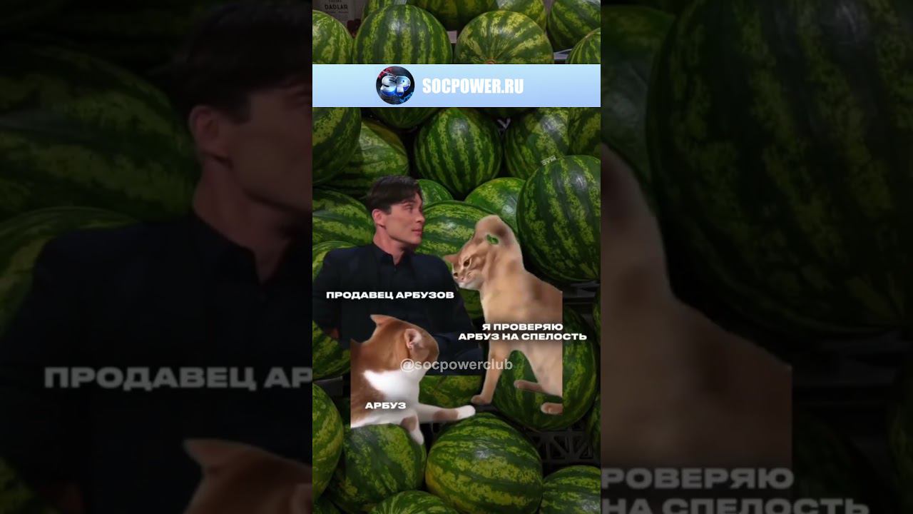 *хочется арбузового* Я, каждый раз когда пришел на рынок: смотреть онлайн