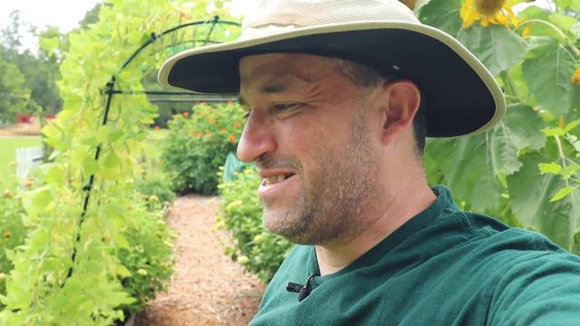 NOT as intended смотреть онлайн