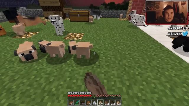 Copious Dogs Mod : Minecraft Mod Showcase смотреть онлайн