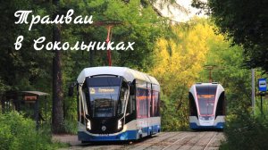 Московские трамваи в красивом парке Сокольники