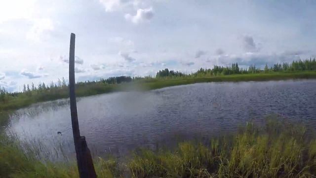 открытие осенней охоты 2017 ХМАО-Югра(Советский р-н) смотреть онлайн