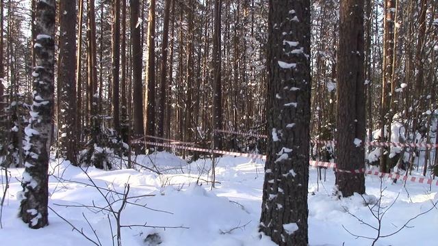 ski-o 15.02.2018 8 смотреть онлайн