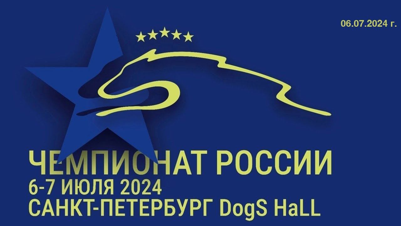 Аджилити | Чемпионат России РКФ 2024 г. | 06.07.2024 смотреть онлайн