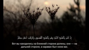 СУРА 8 АН-АНФАЛЬ (ТРОФЕИ). АБУ ХАДЖАР АЛЬ-ИРАКИ