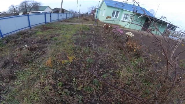 обрезка ремонтантной ежевики,осенью смотреть онлайн