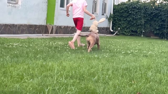 Copy_35F75FC8-4E89-422D-A78D-D699C7AB9350