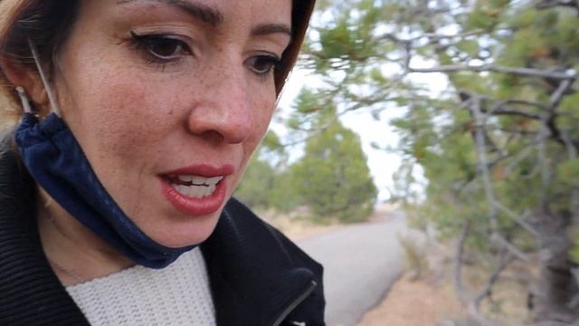 Grand Canyon trip смотреть онлайн