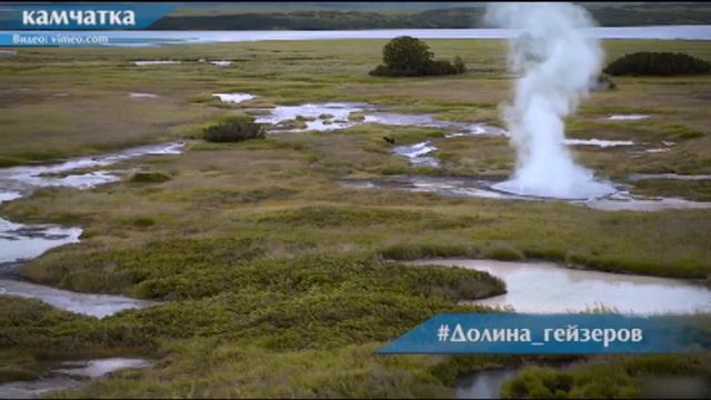 МЕДВЕДИ НА КАМЧАТКЕ НАПАДАЮТ НА ТУРИСТОВ смотреть онлайн
