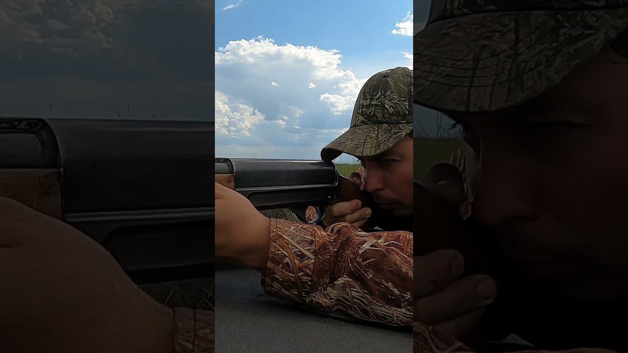 Залег на нору и ждал три часа. Охота на сурка. СКОРО! #охотаназайца #охотанасурка #охотанагуся смотреть онлайн