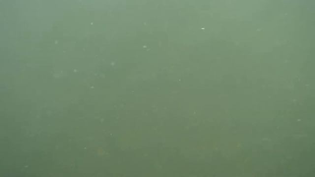 Подводный мир озера Сабакты (Чебачье) смотреть онлайн