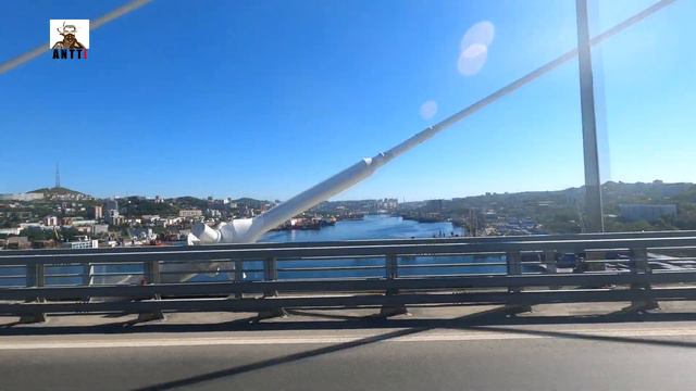 Автобус №5 едет по Золотому мосту смотреть онлайн