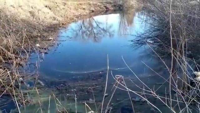 Обращение жителей хутора Ленина Аксайского района (16.02.2022) смотреть онлайн