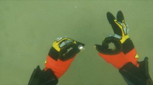 ЦАРСКИЙ коп на пляже | Нашел золото, серебро металлодетектором Minelab Excalibur