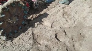 Грохотная копалка к мотоблоку мтз-09-02.  После доработки с плугом не сравнить !