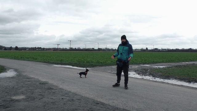 Wireless GO & Lavalier GO Von Rode (Test Video) смотреть онлайн