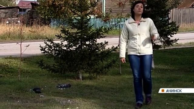 Жителей Ачинска напугали сотни мертвых голубей на улице: причины гибели не установлены смотреть онлайн