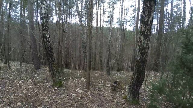 Беларусь весна 2022