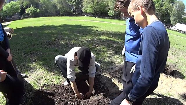 Подари Земле Дерево 24052017 Ученики 5 А класса школы 9 2 СКК Вместе смотреть онлайн