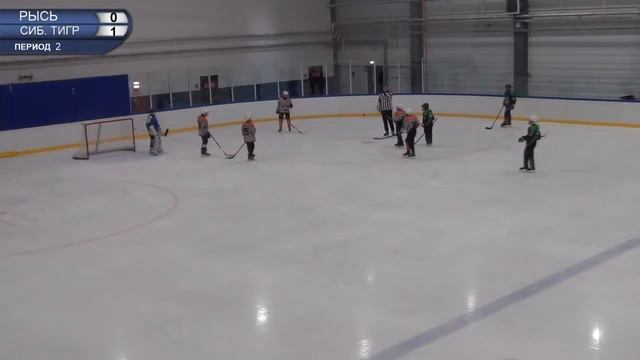 Сибирский тигр – Рысь смотреть онлайн