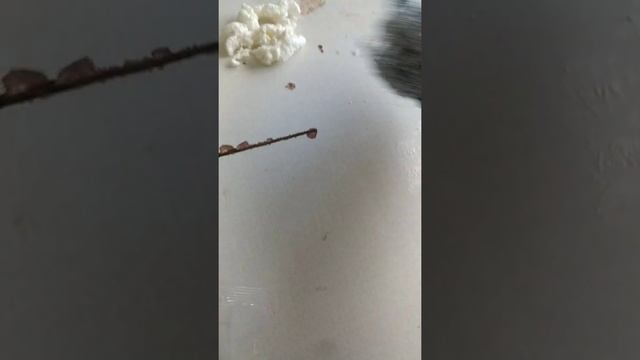 Удаление монтажной пены смотреть онлайн