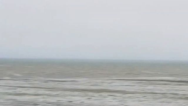 Нашествие бурого медведя. смотреть онлайн