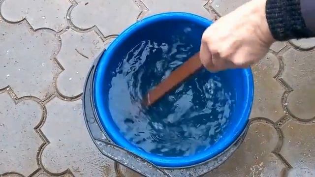 ХЛОРОЗ НА КЛУБНИКЕ / Органическое земледелие смотреть онлайн