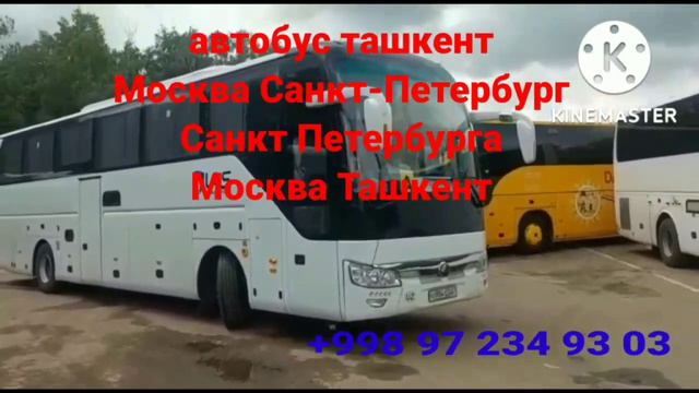 россия узбекистан такси хизмати смотреть онлайн