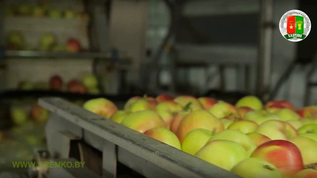 Плодоовощная переработка ПК им В И Кремко смотреть онлайн