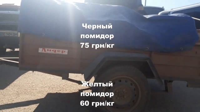 Великі Копані ринок ціни 07 травня смотреть онлайн