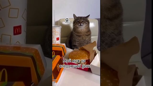 Почему они так делают, девочки?😅 #жиза #материнство #дети #семья #юмор #отношения смотреть онлайн