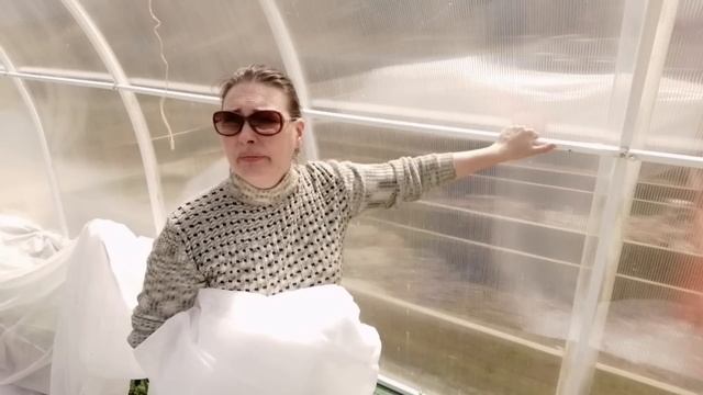 21 апреля | САЖАЮ ТОМАТЫ БЕЗ ЗАМОРОЧЕК | ИДЕАЛЬНАЯ РАССАДА смотреть онлайн