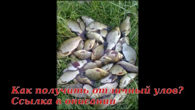 лучший активатор клева для леща смотреть онлайн