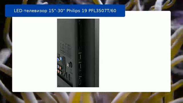 LED-телевизор 15"-30" Philips 19 PFL3507T/60 обзор и отзыв смотреть онлайн