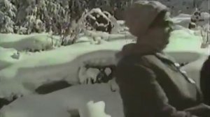 Там, где цветут Эдельвейсы 1965