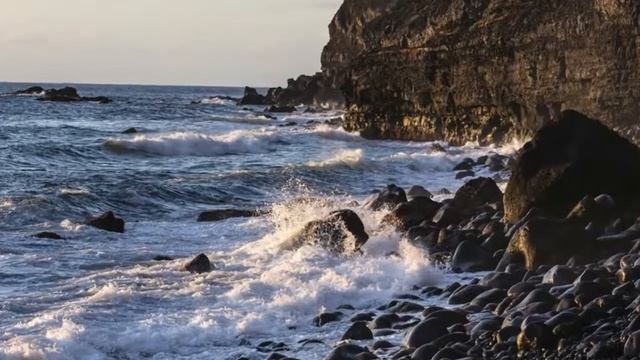 Джо Диспенза — Миф о генетике смотреть онлайн